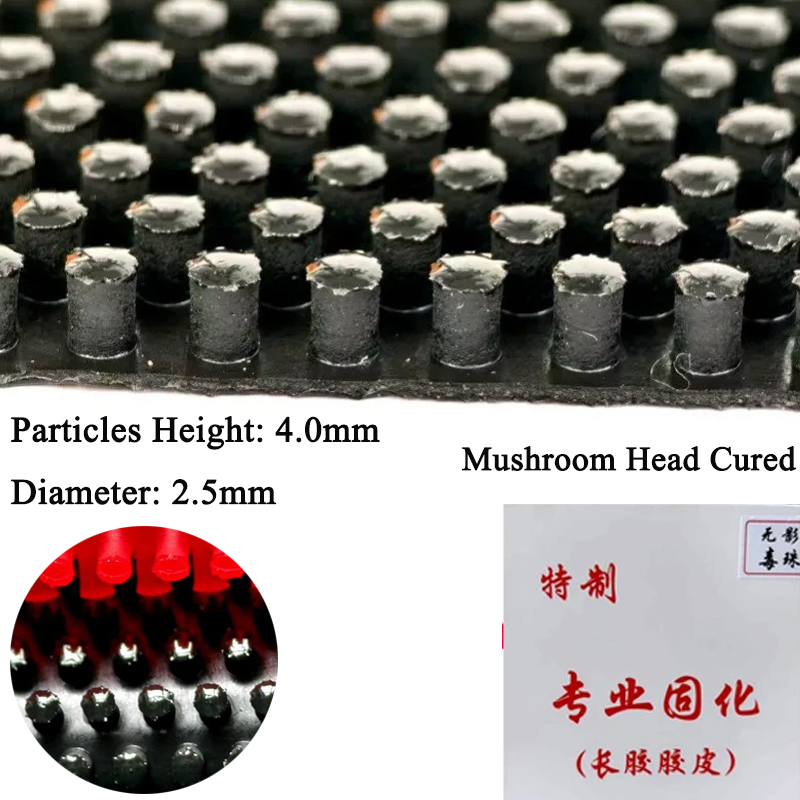 Karet Tenis Meja Partikel Ultr - Table Tennis Head To Head ulasan dan harga